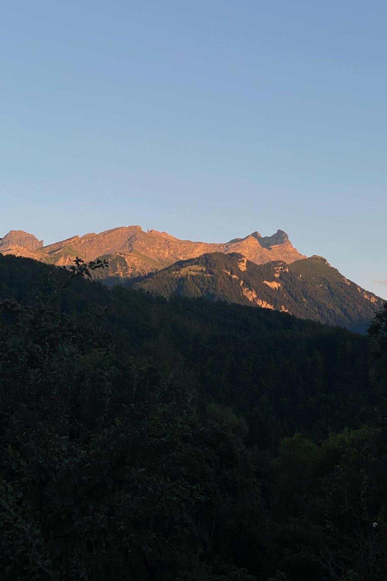 Willa La Petite Grange Villars-sur-Ollon Zewnętrze zdjęcie