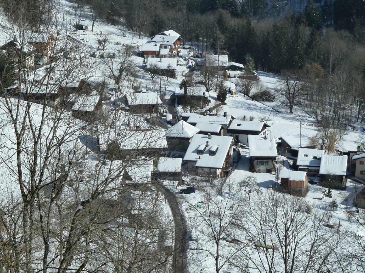 Willa La Petite Grange Villars-sur-Ollon Zewnętrze zdjęcie
