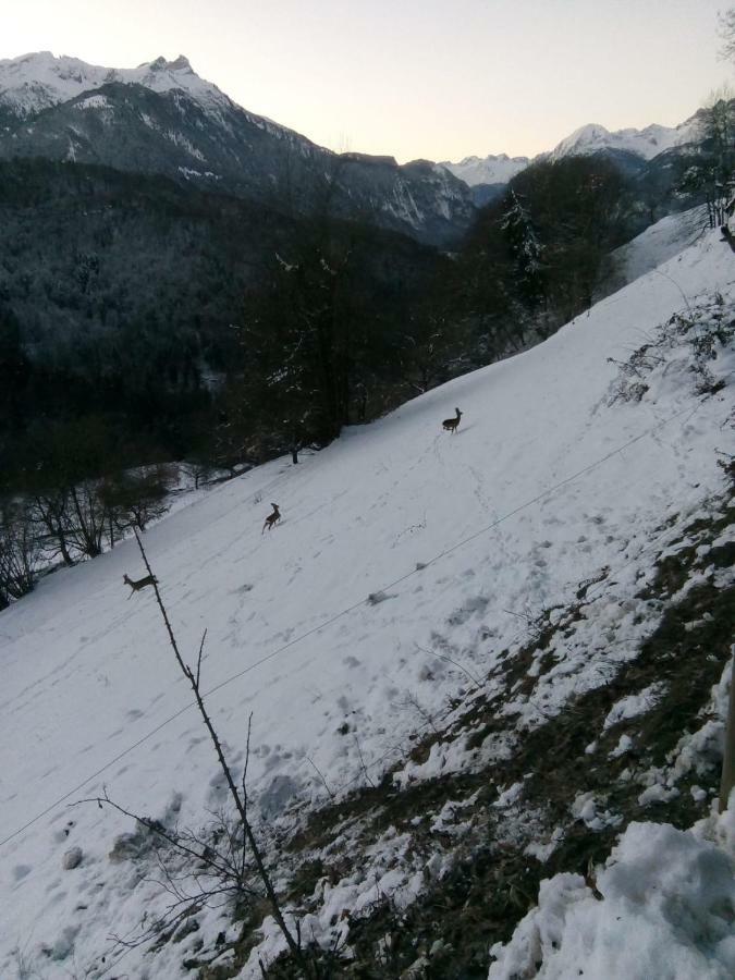 Willa La Petite Grange Villars-sur-Ollon Zewnętrze zdjęcie